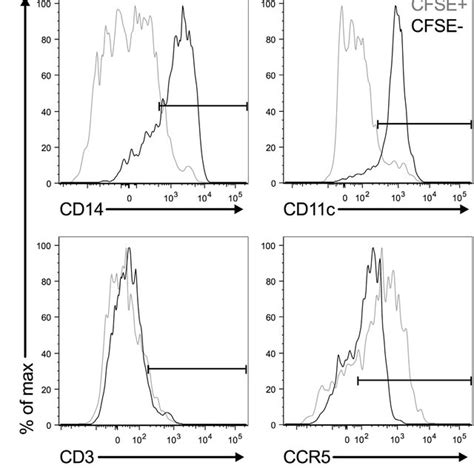 Pkh26 Cfse Cells Are Monocyte Effector Cells Representative Flow