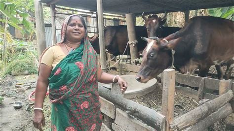 গরুর টাকায় গরুরই হয় না আমরা খাব কি গরু পালন ছাড়া তো আর কিছু জানিনা