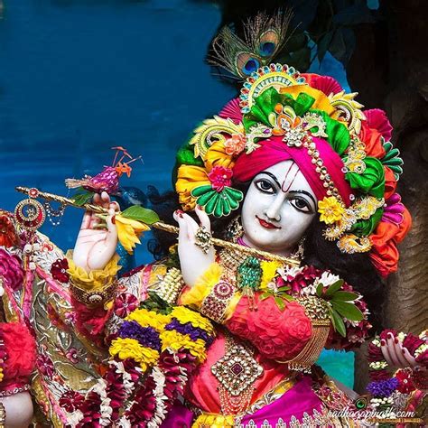 Iskcon Chowpatty Deity Darshan Dec Krishna Lord Krishna The