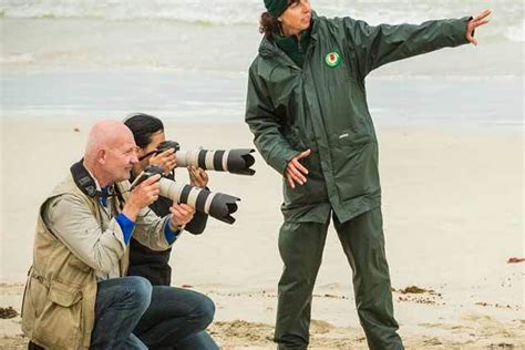 Seal Bay - National Parks and Wildlife Service South Australia