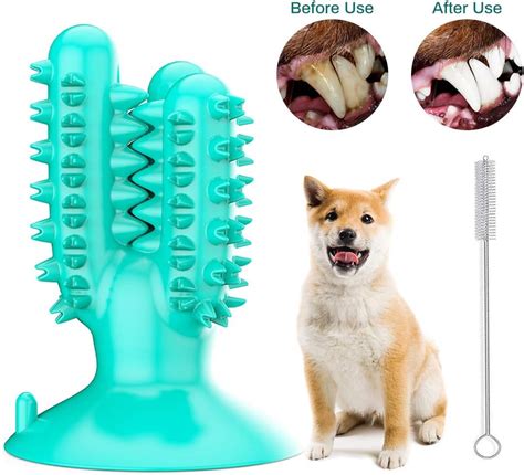 Brosse Dents Chien Jouet M Cher Pour Chien Jouet M Cher