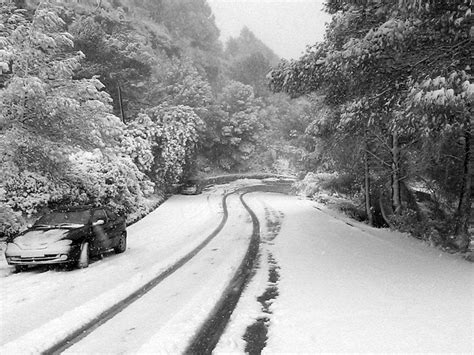 Bajo La Nieve Las Planas Del Rey Les Planes Del Rei Pratdip