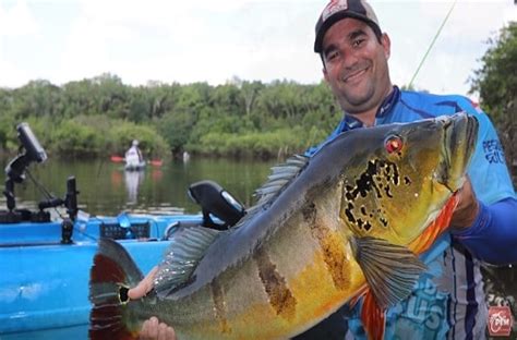 TUCUNARÉ GIGANTE NA PESCARIA DE CAIAQUE Bóra Pescar