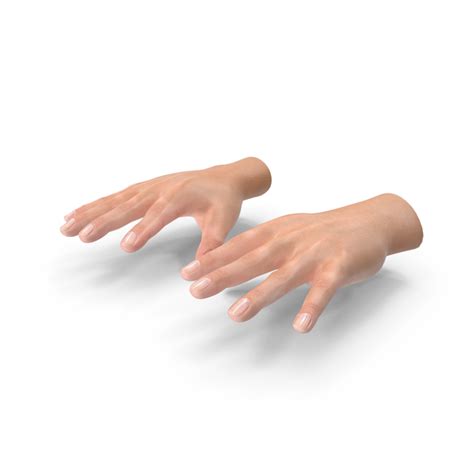 Realistic Hand Png Images And Psds For Download Pixelsquid S11289368c