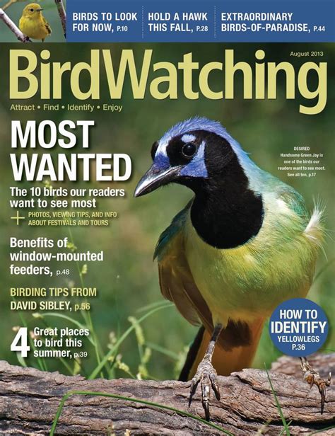 Thrilled to get the cover shot of the August 2013 issue of BirdWatching ...