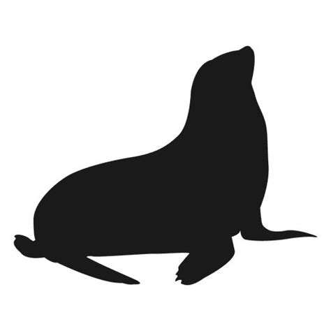 Silhuetas De Animais Mamiferos Para Imprimir Foca Educlub Silhueta