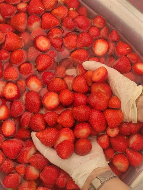 Festa Della Fragola Nel Centro Storico Di Parete Con Tony Tammaro E