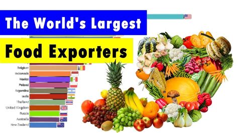 Top Largest Food Exporting Countries The World S Largest Food