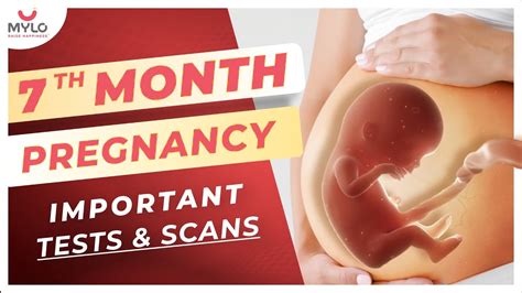 Important Test Scans In 7th Month Of Pregnancy 7th Month Prenatal