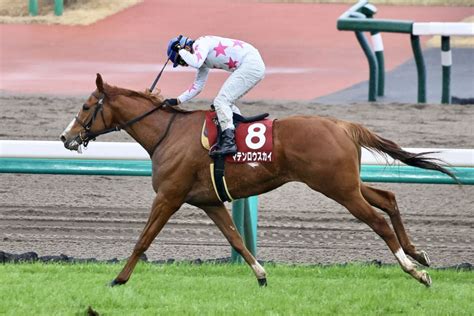 【中山記念】横山典「上手に走ってくれました」マテンロウスカイが重賞初制覇 競馬ニュースなら競馬のおはなし