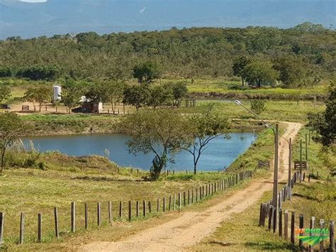 Fazenda Sítio em Santa Rita em Macapá por R 300 000 Viva Real