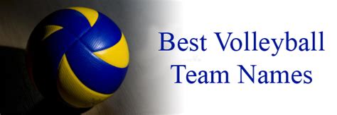 100 Volleyball Team Names The Best List And Ideas 2021 Widget Box