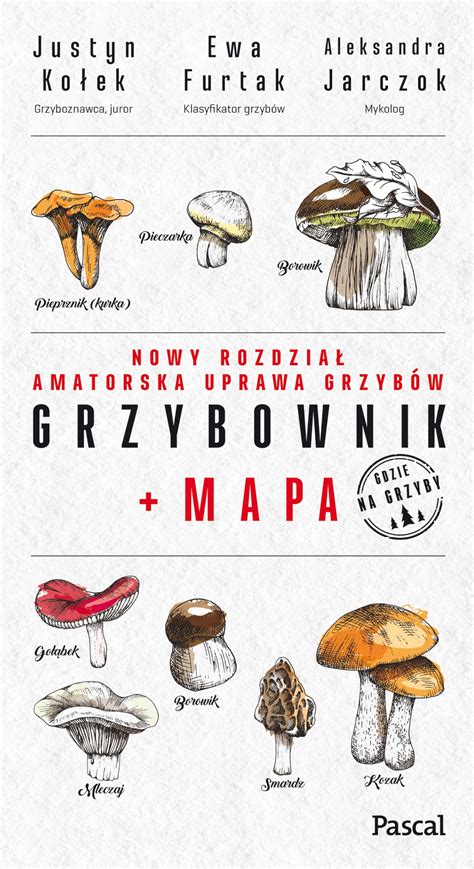 Grzybownik Mapa Justyn Ko Ek Pascal Poradnik Ksi Ka