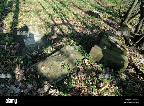 Abandoned Cemetery Castolovice Ceska Lipa Czech Republic The