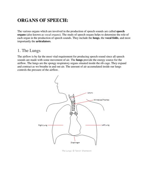 Solution Organs Of Speech Studypool