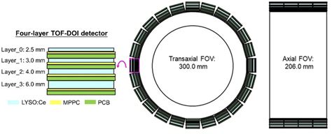 Schematic view of multi-layer brain PET scanner comprising 96 (24 in ...