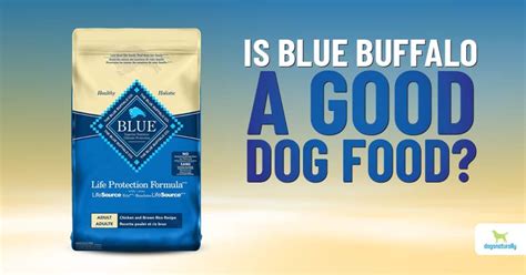 Blue Buffalo Dog Food Reviews - Dogs Naturally