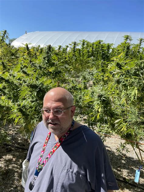 5 Reasons Why New Yorkers Keep Flocking to Canna Provisions Dispensary