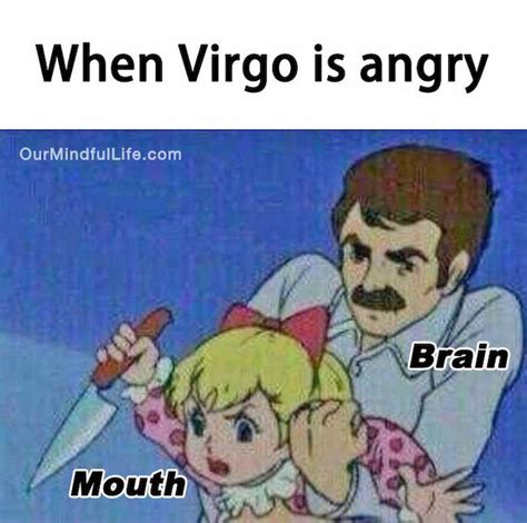 32 Funny And Relatable Virgo Memes That Are Basically Facts Funny