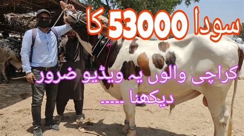 Sindh Ki Mandi Ka Sub Se Sasta Soda 53000 Ka Karachi Walon Ye Video