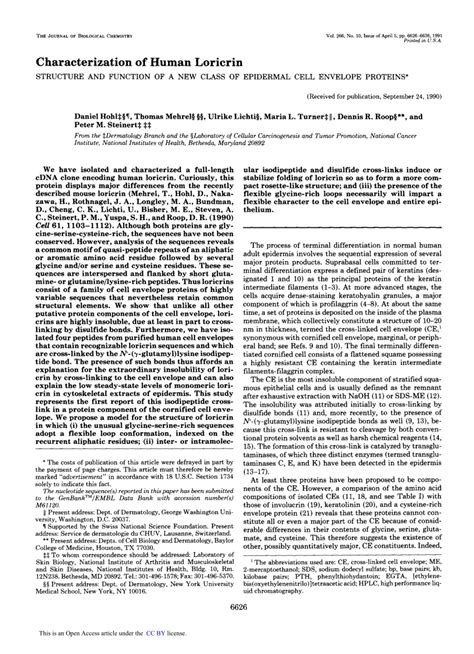 Pdf Characterization Of Human Loricrin Structure And Function Of A