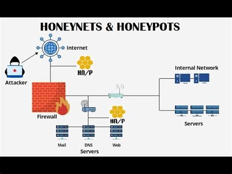 Honeypot Trap 101: Everything You Need To Know | Best Proxy Reviews