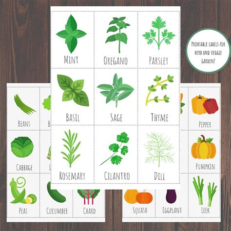 Printable Plant Labels