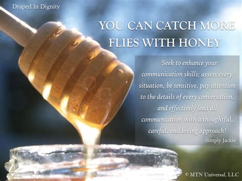 You Can Catch More Flies With Honey — Mtn Universal