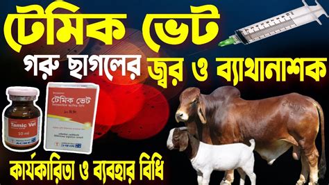 Tamic Vet Injection গরু ছাগল ঘোড়া মহিষের জ্বর ও ব্যাথার জন্য