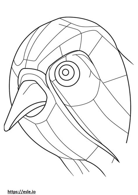 European Robin coloring pages - free printable