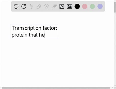 SOLVED:What are transcription factors?