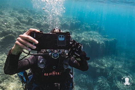 Tournage Pour Le Documentaire Juste Sous La Surface NaturDive