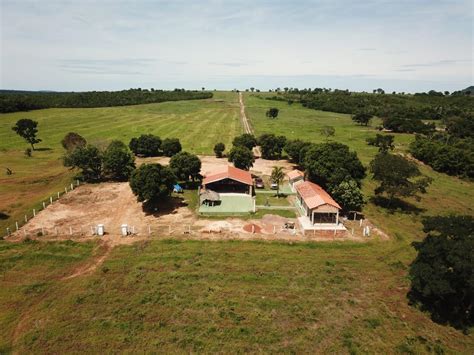 Fazenda A Venda Em Nova Xavantina MT Fazendas Mato Grosso