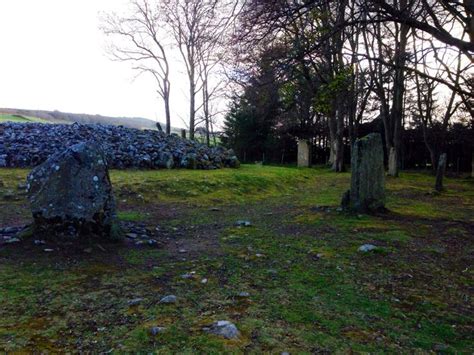 Clava Cairns, Inverness | Inverness, Scotland, Tree