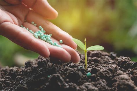 Caiado Castro Saiba Quanto O Brasil Importa De Fertilizantes Da