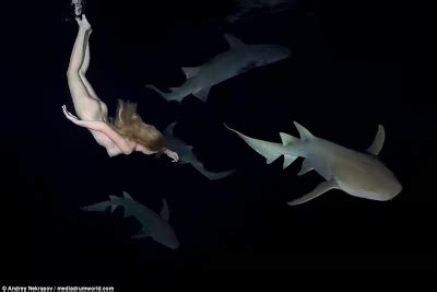 Photos Shocking Model Swims Naked With Sharks Thenewsguru