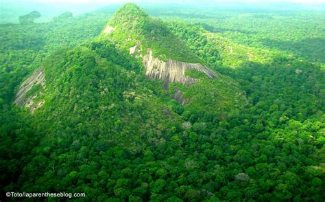 La Guyane Hors des Sentiers Battus 10 Lieux Secrets Où et Quand