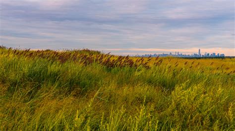 New York’s Fresh Kills Landfill Gets an Epic Facelift | Audubon