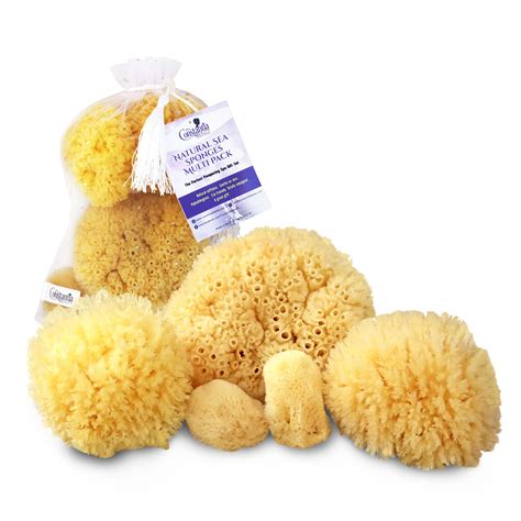 Amazon.com: Real Natural Sea Sponges Multipack - 5pc Spa Gift Set in Premium Bag, Kind on Skin ...