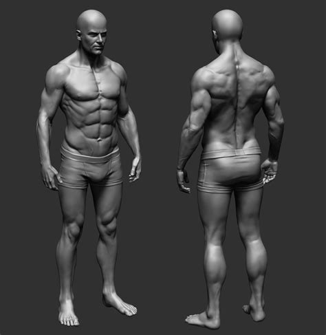 Artstation Anatomy Practice Pavel Protasov Human Body Drawing Male