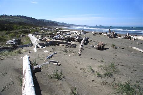 CRISSEY FIELD STATE PARK Brookings Harbor Oregon