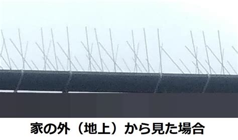 【電線の鳥よけ対策】東京電力とnttに無料で依頼できた話 3回住み替えてわかった理想の住まい