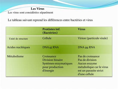 Ppt Diversite Du Monde Microbien Powerpoint Presentation Free