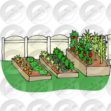 Download High Quality garden clipart vegetable Transparent PNG Images - Art Prim clip arts 2019