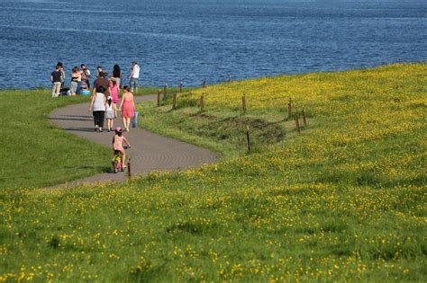 La Promenade Du Grand Cerf Une Balade Au Bord De Leau Le Long Des