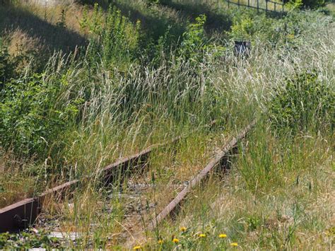 Old Unused Railway Tracks With Grass Stock Image Image Of Wood