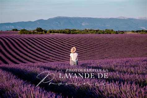 Où et quand photographier les champs de lavande en Provence ? - Hellolaroux