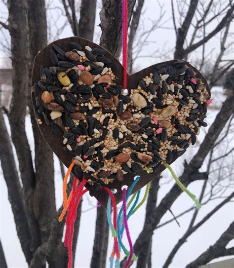 Heart Shaped Bird Feeders ♥ Minnesota Parent