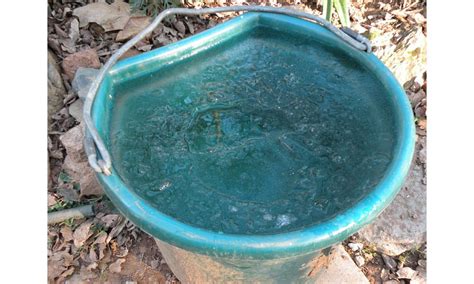 Eliminate Frozen Water Buckets With These Tricks - COWGIRL Magazine