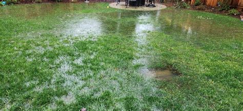 Garden Waterlogged Lawn Fasci Garden